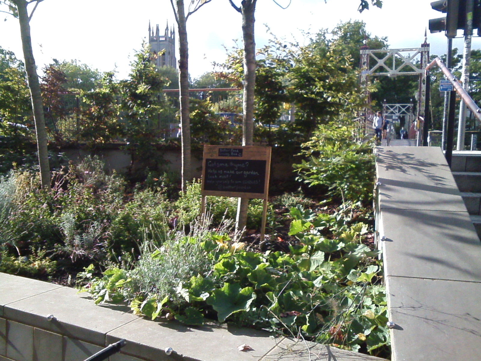 071 SW Bristol Edible