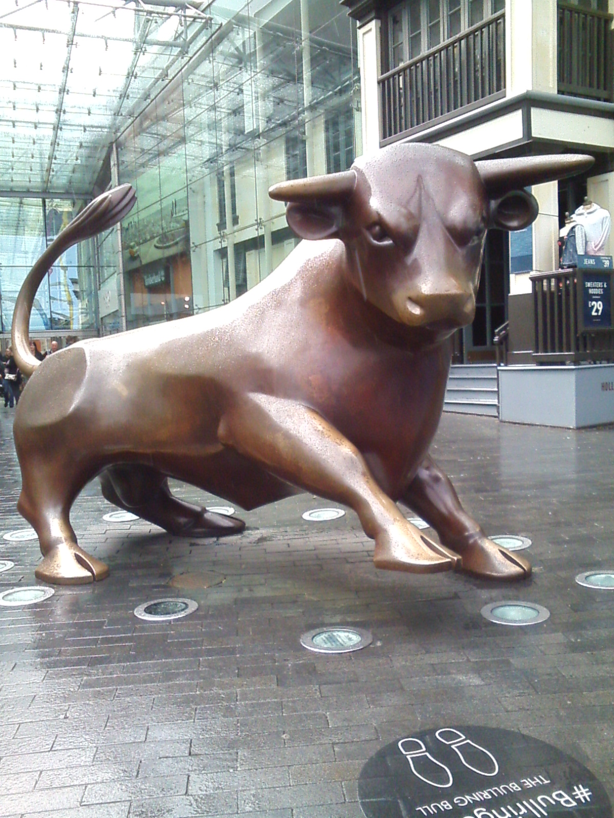 056 WM Birmingham Bull