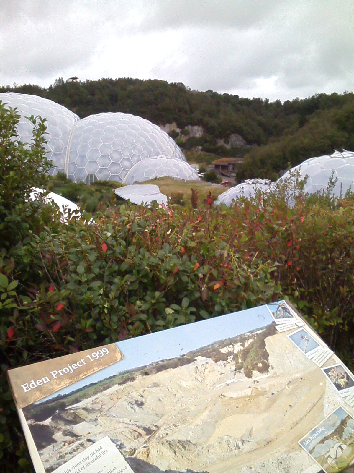 RR1 PLATE 1 EDEN TRANSFORMED