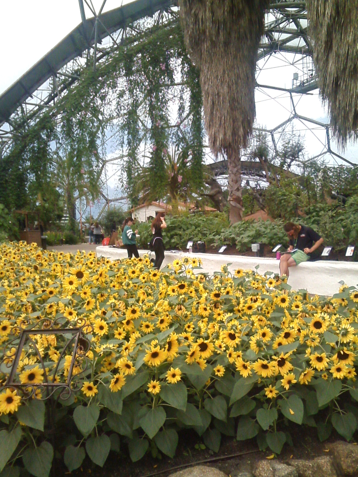 RR1 PLATE 3 EDEN MED BIOME